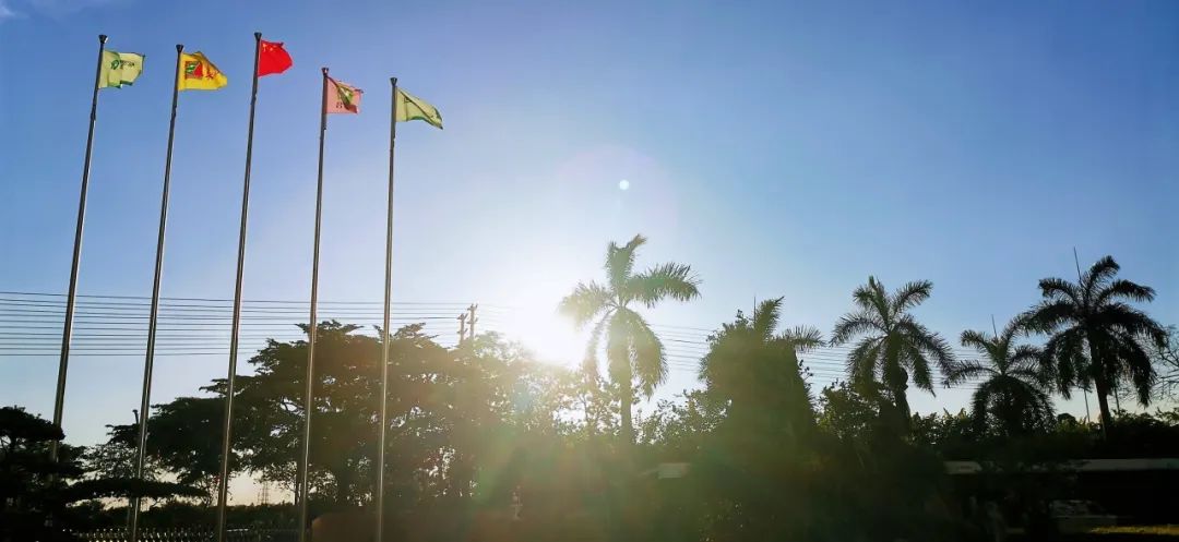 小暑 |小暑虫鸣夏日长，心静气和自清凉