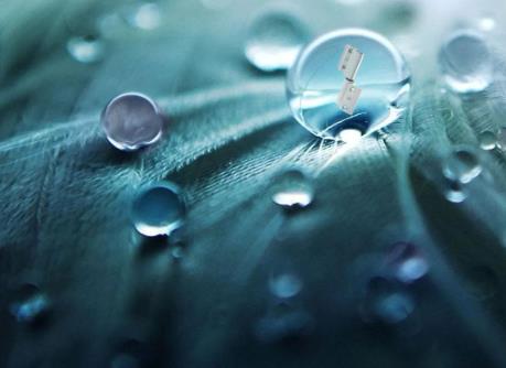 白露｜金秋凝白露，匠心铸精粹